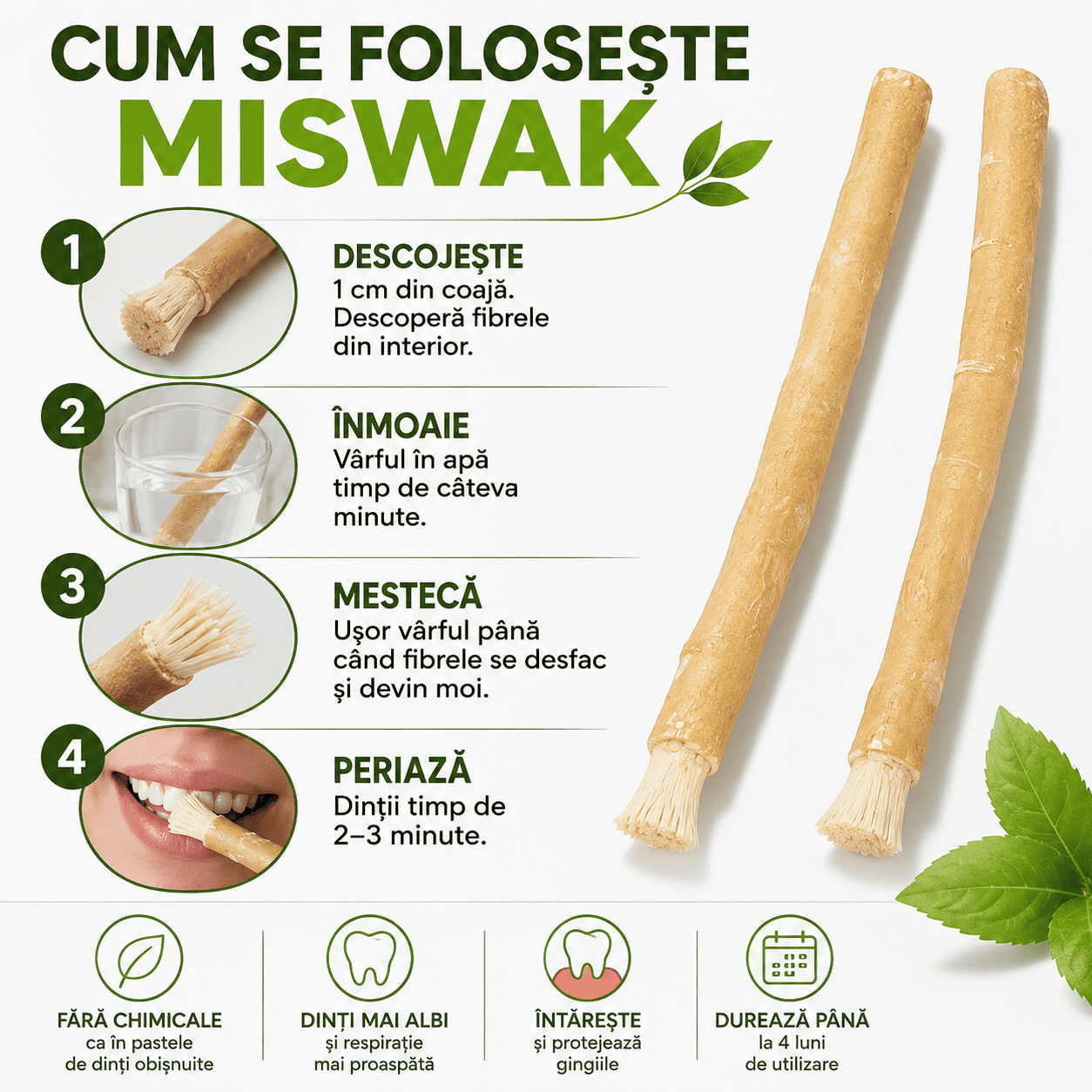 Set 5 Periuțe Naturale Miswak pentru Dinți