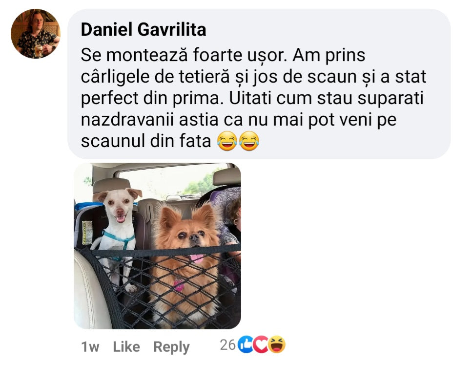 Describes the appearance of the image